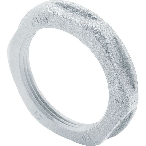 Ecrou Nylon Ral7035M12X1,5 legrand 386881