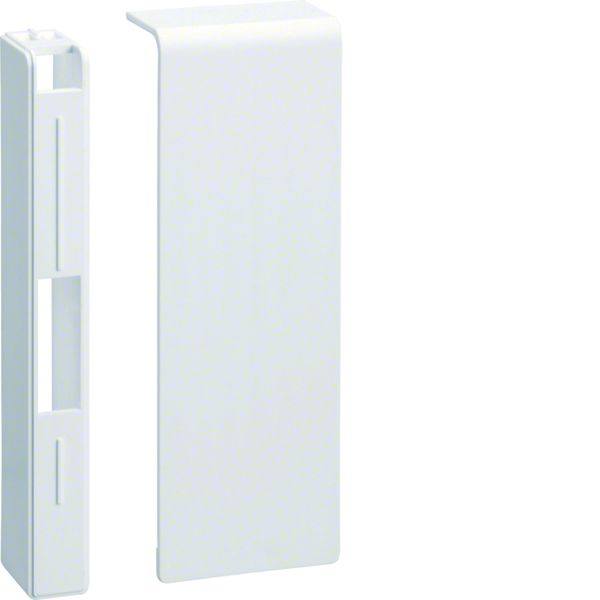 Embout pour plinthe SL 20x115mm Blanc SL2011569016
