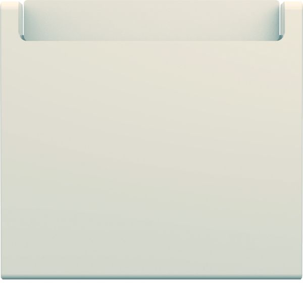 Enjoliveur Gallery interrupteur a carte hotel 2 modules , finition Dune WXD055D