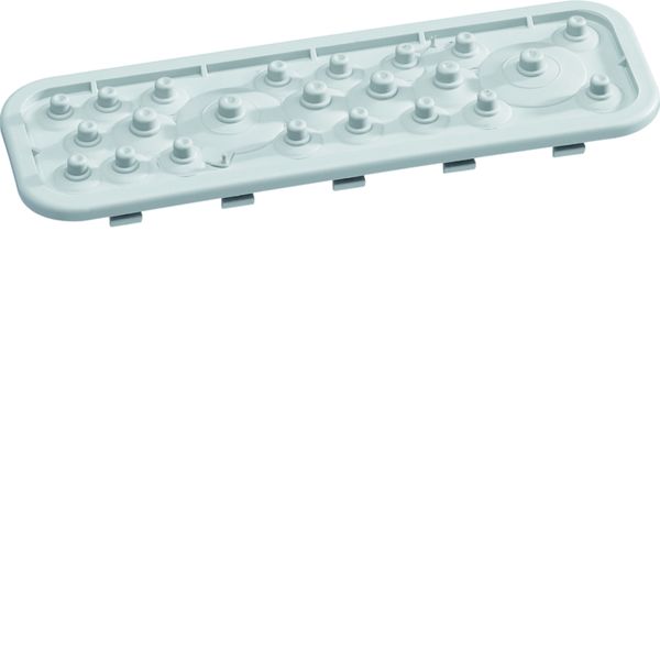 Plaque passe fils IP41 pour coffrets VegaD VZ741