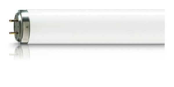 TL 80W_10-R 612625 Philips