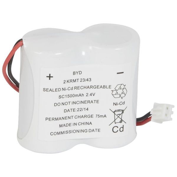 Batteri Accumulateurs Baes Evacuation A Leds Et Baeh A Led legrand 061090