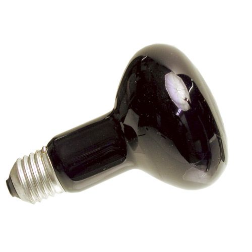 [L7892] R80 Ø80mm 75W E27 Lumiere Noir 230V - L7892